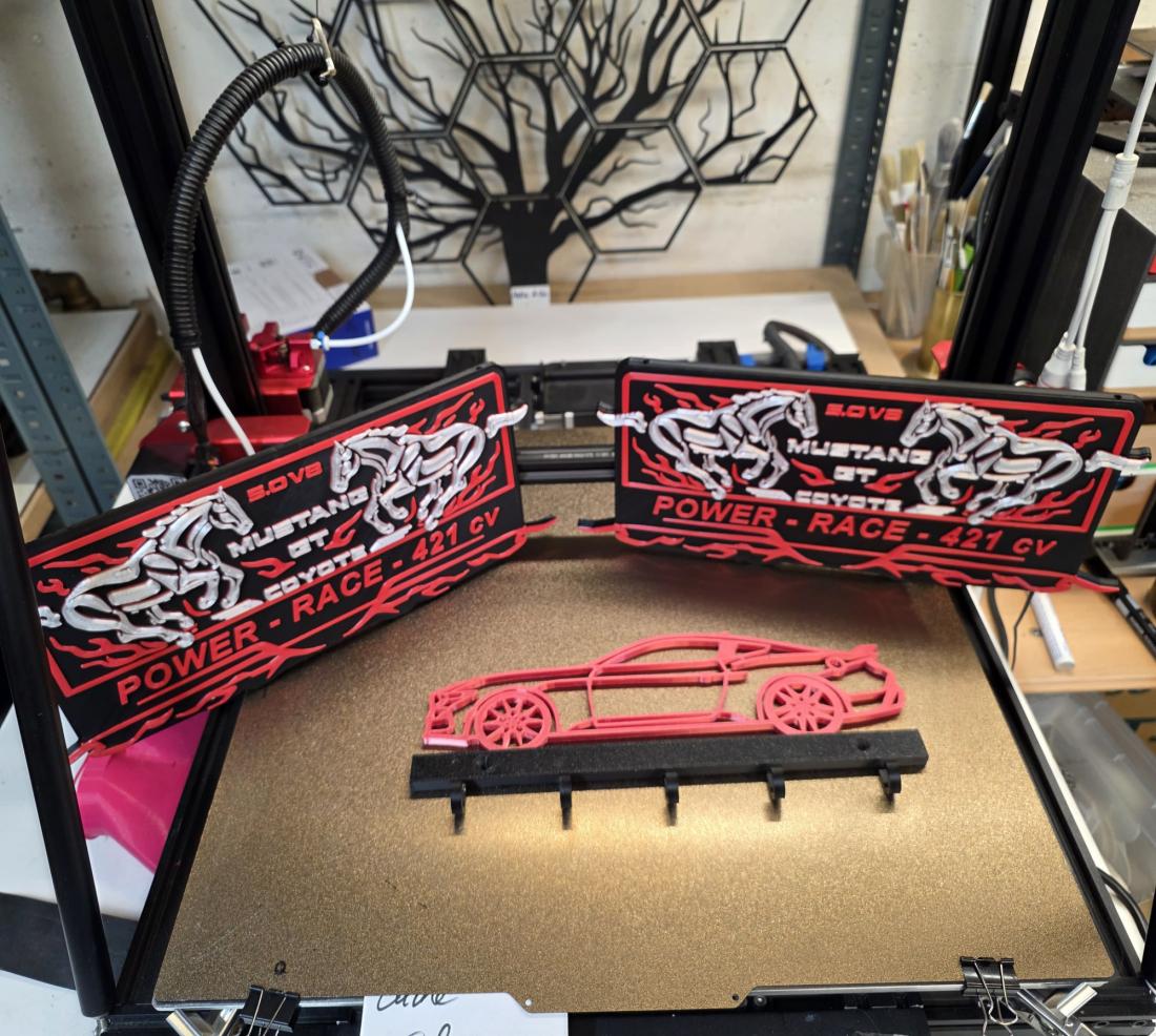 Cache plaque Mustang Version US