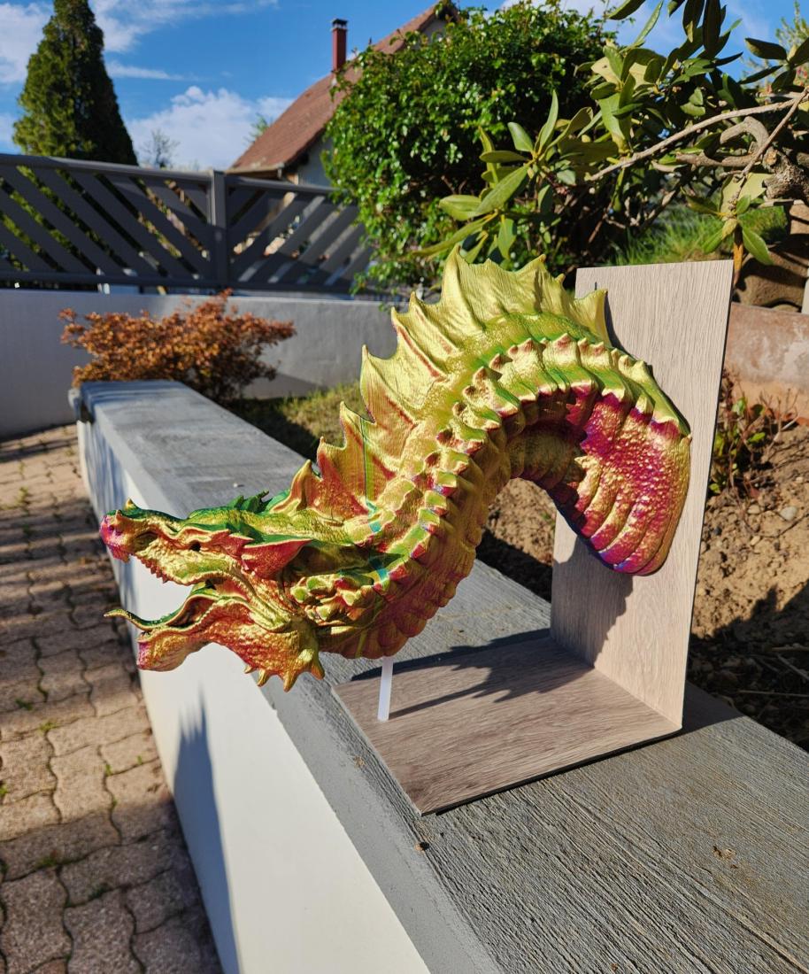 Dragon Tête
