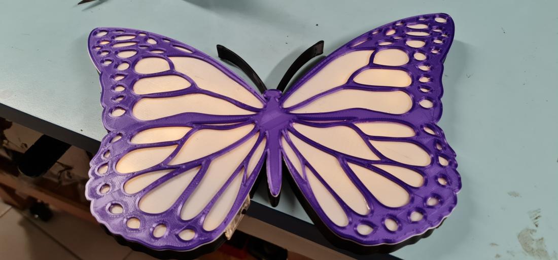 Papillon lumineux
