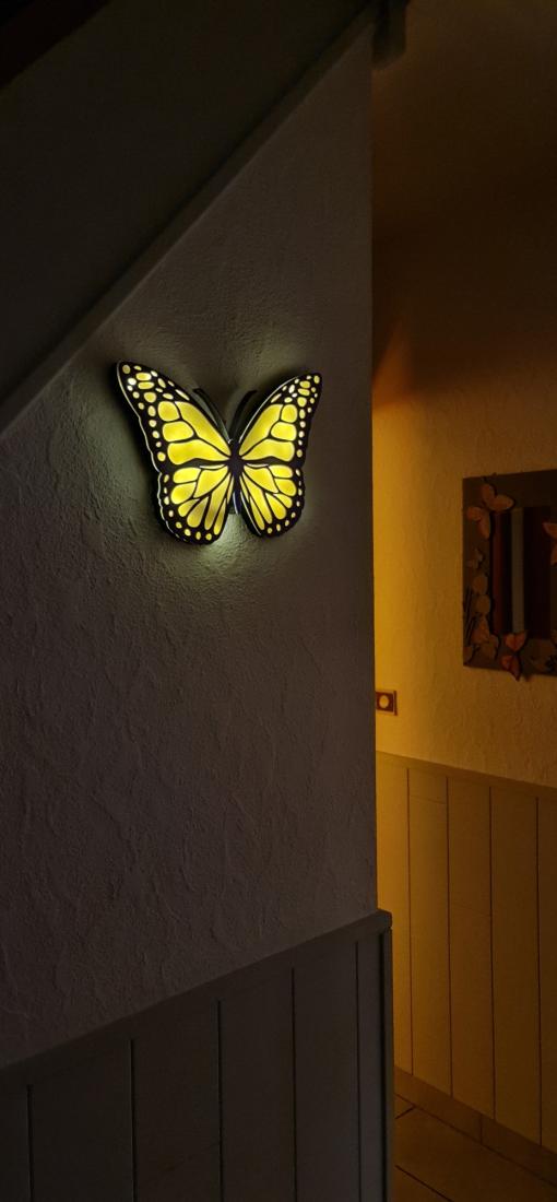 Papillon lumineux